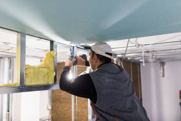 Best Insulation Installation Services in Lake Katrine, NY